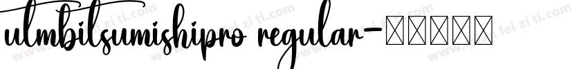 utmbitsumishipro regular字体转换